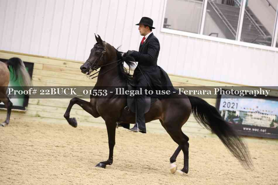 Proof 22BUCK_01553