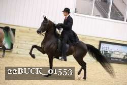 22BUCK_01553 proof