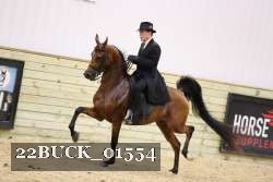 22BUCK_01554 proof