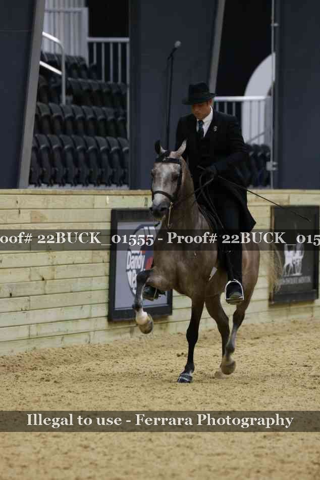 Proof 22BUCK_01555