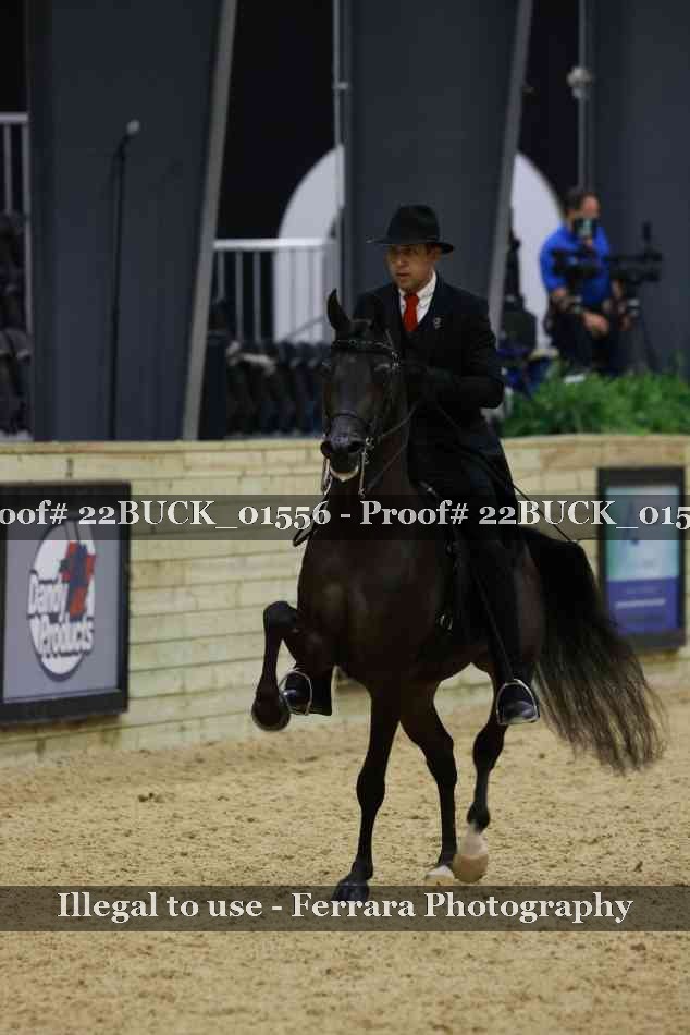 Proof 22BUCK_01556
