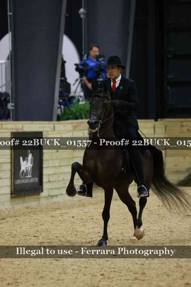 Proof 22BUCK_01557