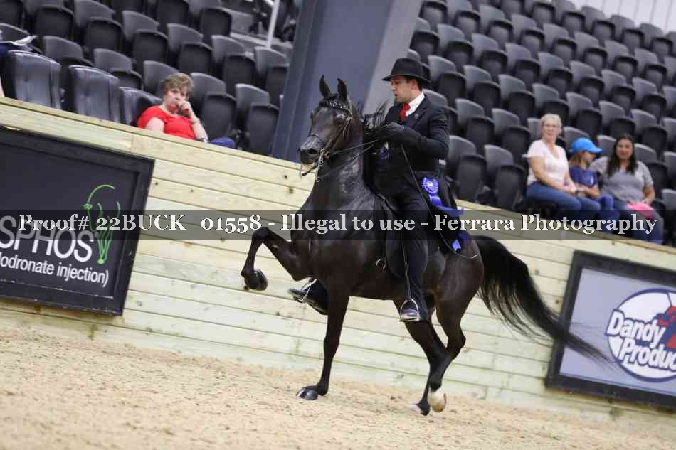Proof 22BUCK_01558