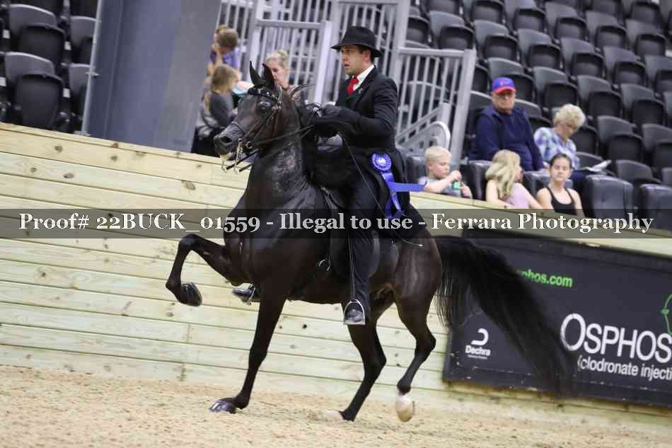 Proof 22BUCK_01559