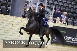 22BUCK_01559 proof