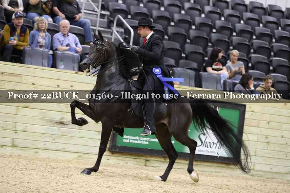 Proof 22BUCK_01560