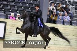 22BUCK_01561 proof