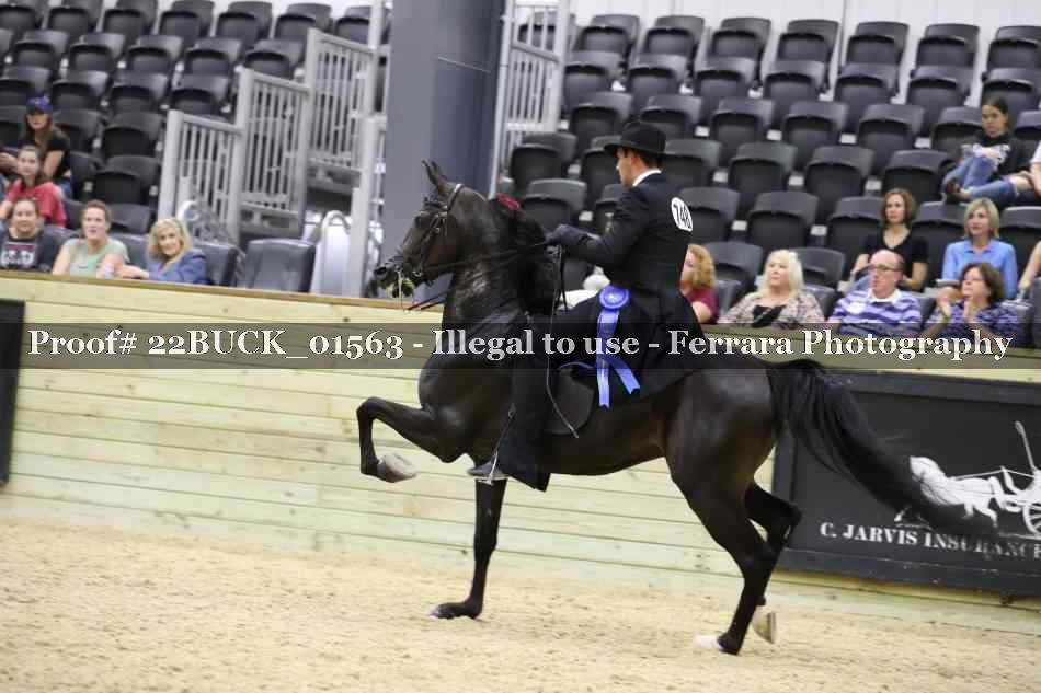 Proof 22BUCK_01563
