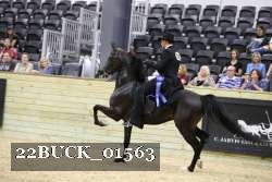 22BUCK_01563 proof