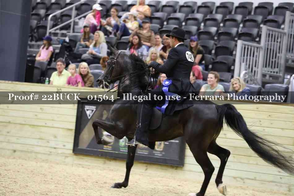 Proof 22BUCK_01564