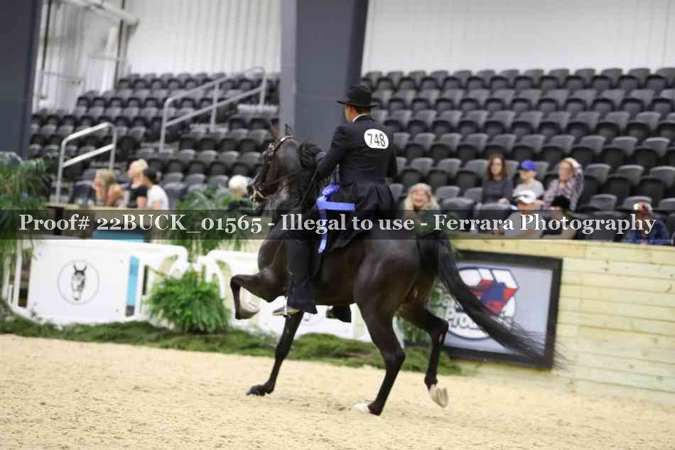 Proof 22BUCK_01565