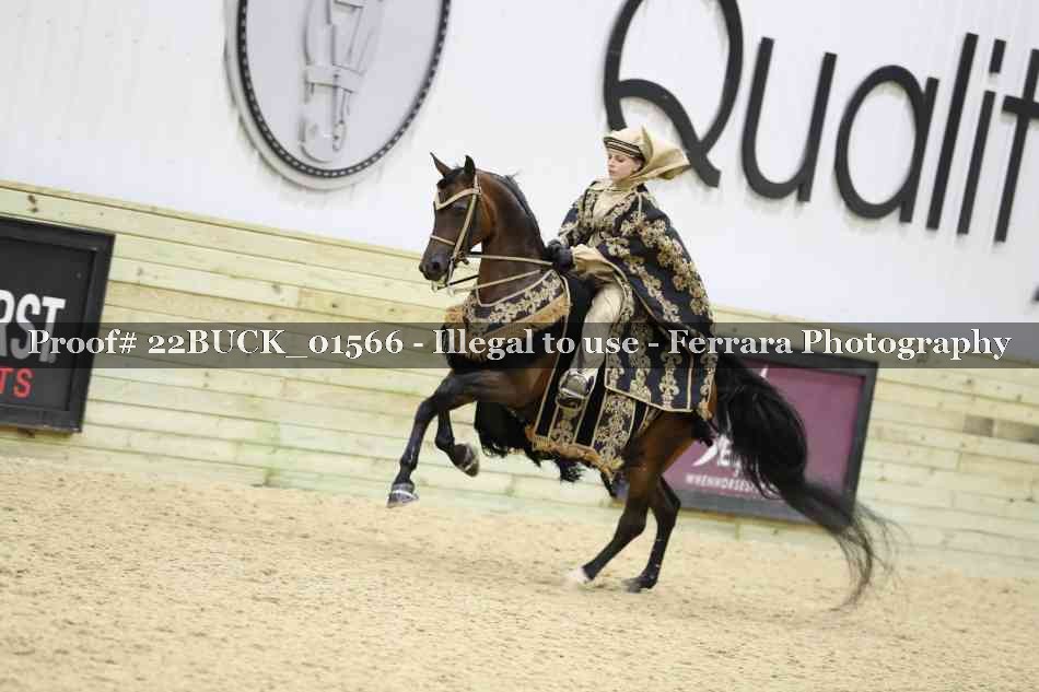 Proof 22BUCK_01566