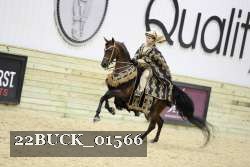 22BUCK_01566 proof