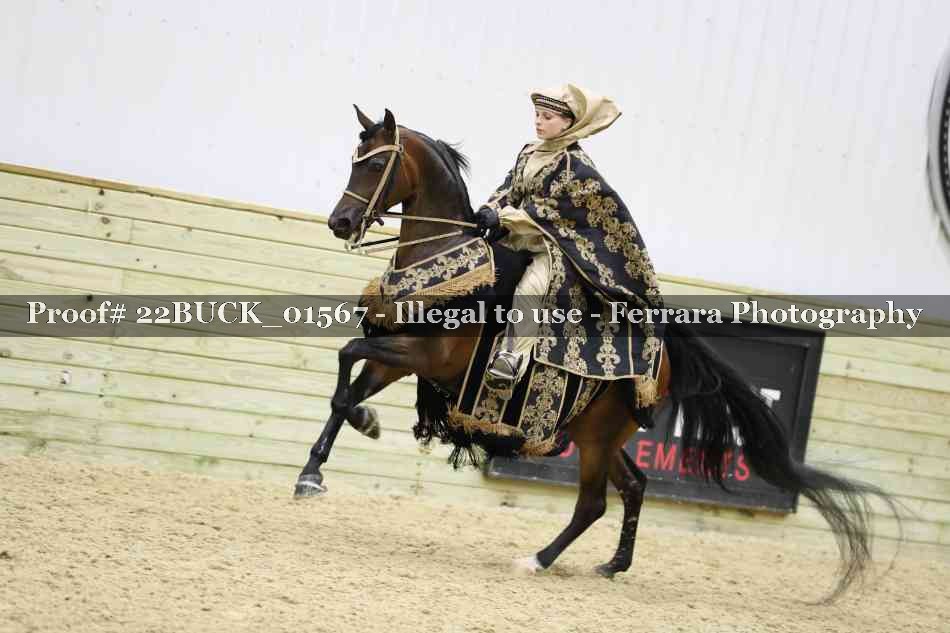 Proof 22BUCK_01567