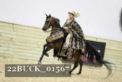 22BUCK_01567 proof