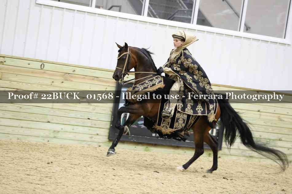 Proof 22BUCK_01568