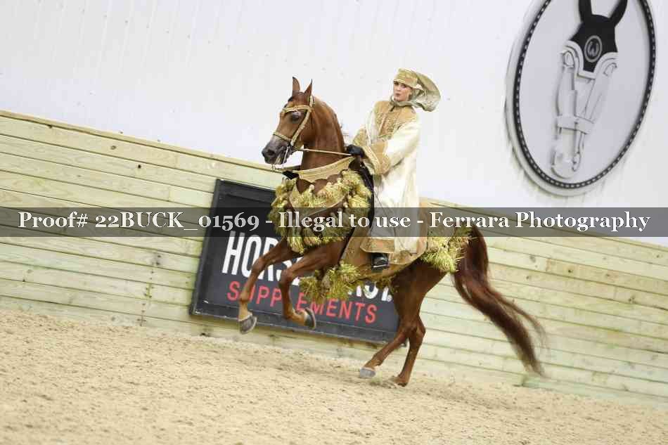 Proof 22BUCK_01569