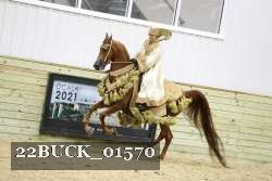 22BUCK_01570 proof