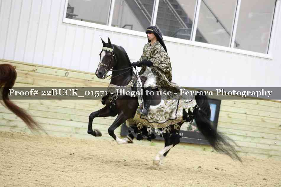 Proof 22BUCK_01571