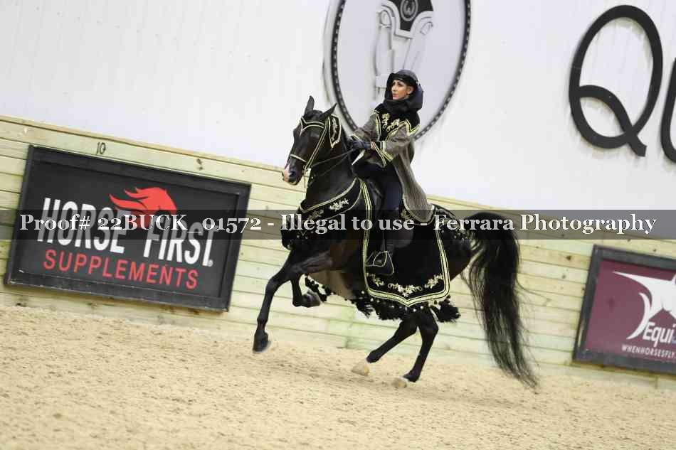 Proof 22BUCK_01572