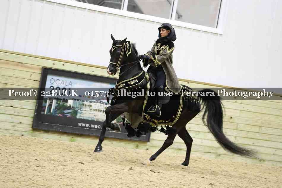 Proof 22BUCK_01573