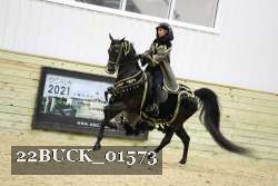 22BUCK_01573 proof