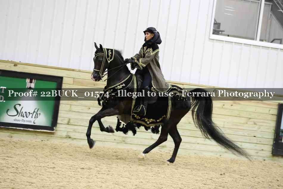 Proof 22BUCK_01574