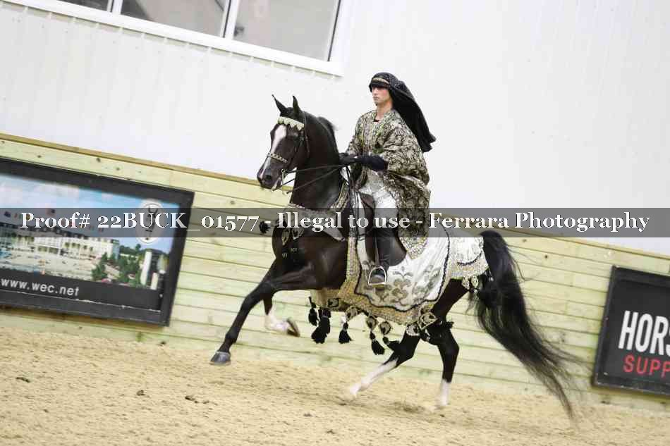 Proof 22BUCK_01577