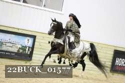 22BUCK_01577 proof