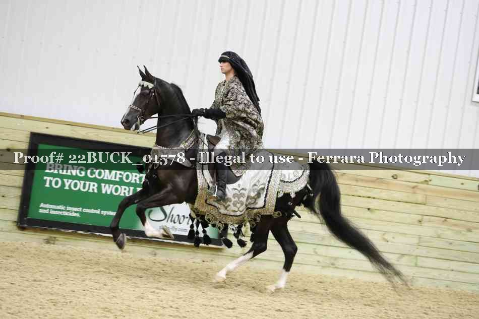 Proof 22BUCK_01578