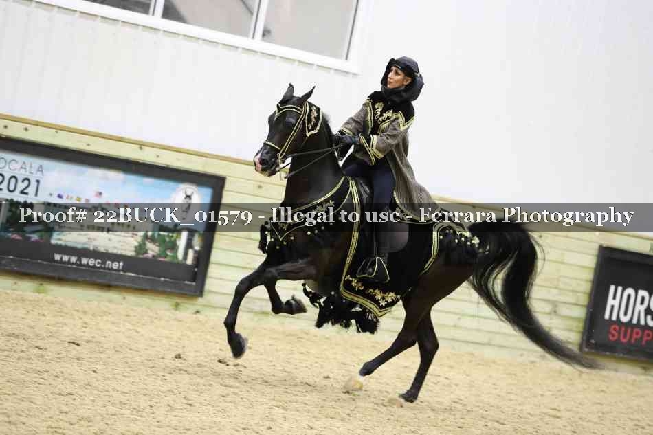 Proof 22BUCK_01579