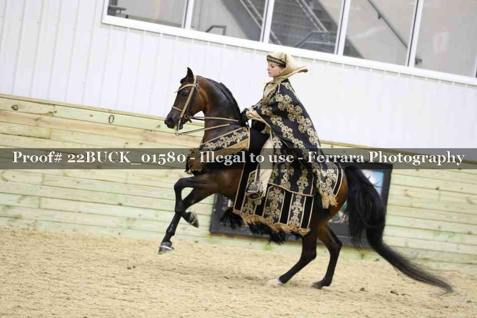 Proof 22BUCK_01580
