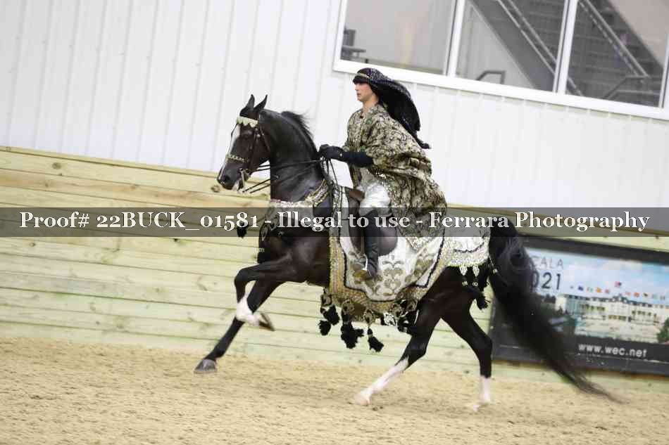 Proof 22BUCK_01581