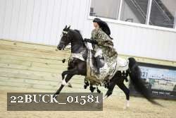 22BUCK_01581 proof
