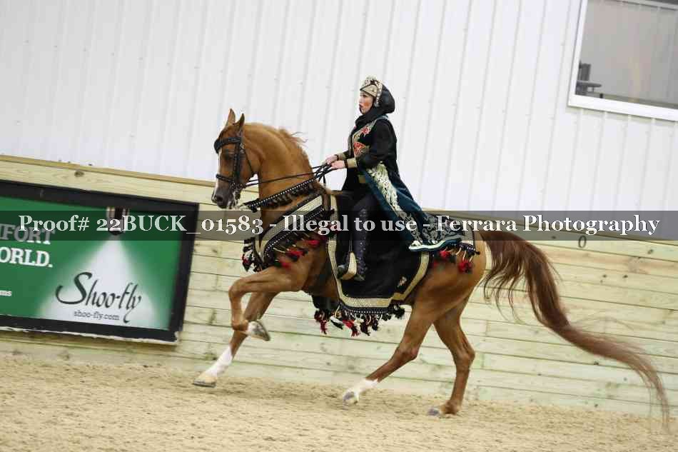 Proof 22BUCK_01583