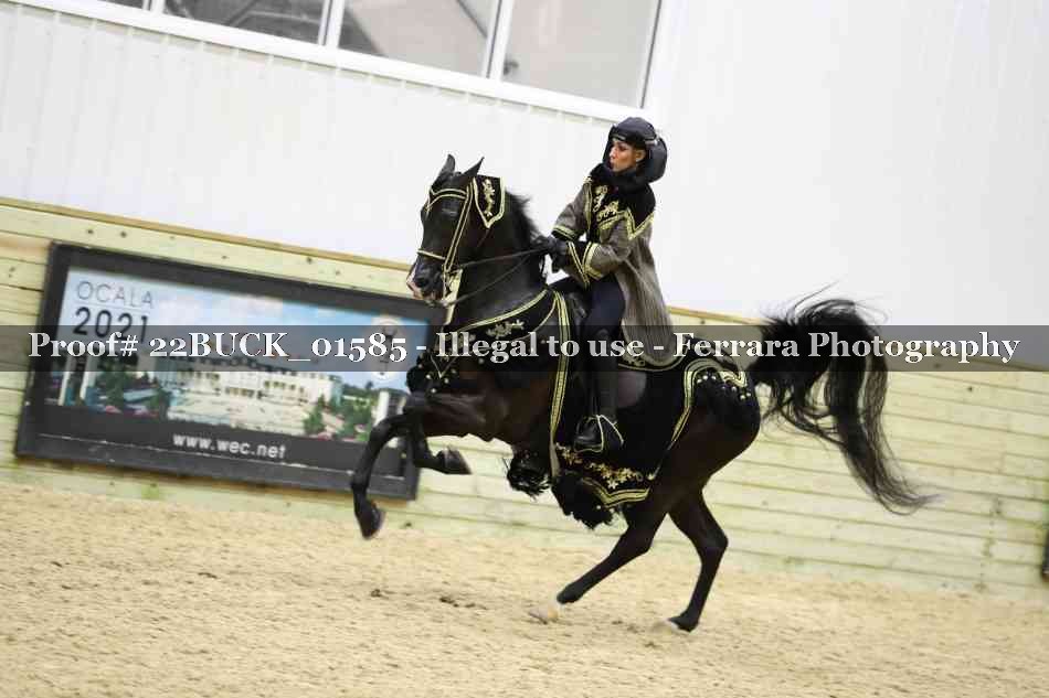 Proof 22BUCK_01585