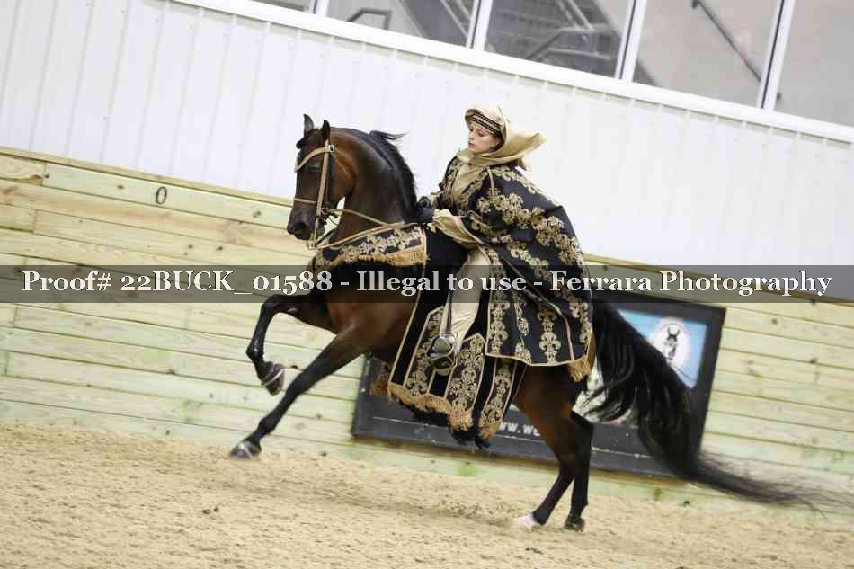 Proof 22BUCK_01588