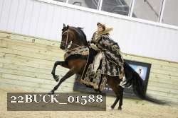 22BUCK_01588 proof