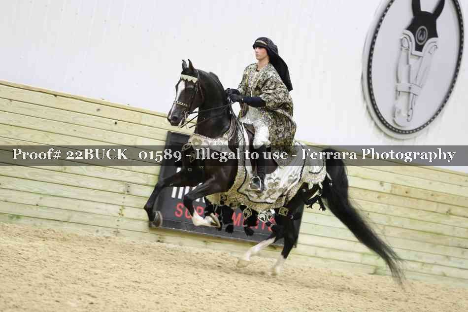 Proof 22BUCK_01589