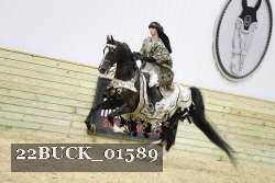 22BUCK_01589 proof