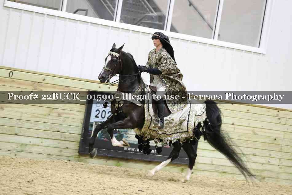 Proof 22BUCK_01590
