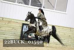 22BUCK_01590 proof