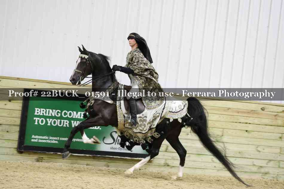 Proof 22BUCK_01591