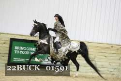 22BUCK_01591 proof
