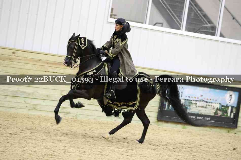 Proof 22BUCK_01593