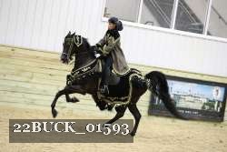 22BUCK_01593 proof