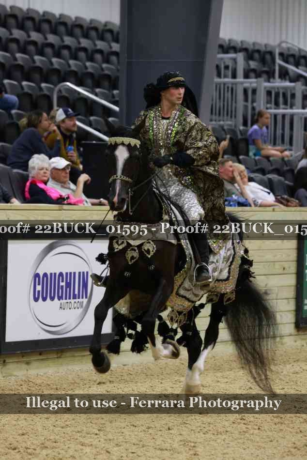 Proof 22BUCK_01595