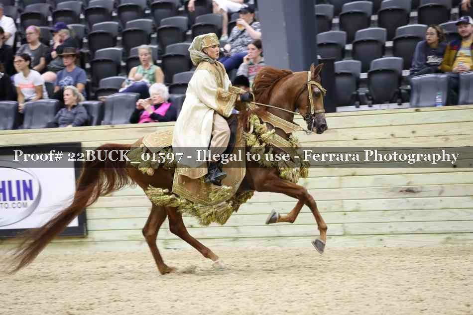 Proof 22BUCK_01597