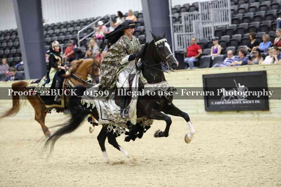Proof 22BUCK_01599