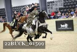 22BUCK_01599 proof